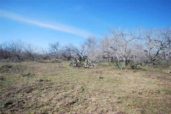 TRACT 1 E HWY 97, GONZALES, TX 78629, photo 5 of 16