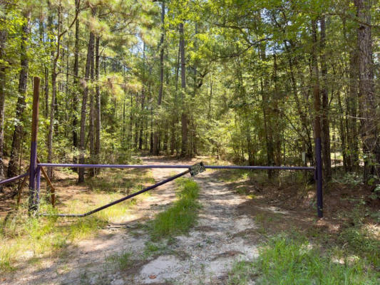 TRACT 4.4 FRAZIER ROAD, ZAVALLA, TX 75980 - Image 1