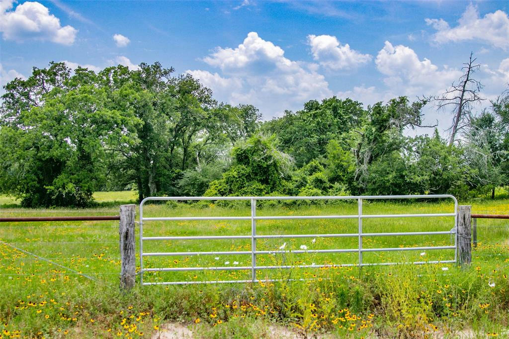 LOT 29 (5 ACRES) LEGACY ROAD, SOMERVILLE, TX 77879, photo 1 of 20