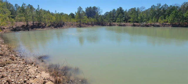 TBD FM 3011, NECHANITZ, TX 78946, photo 2 of 17