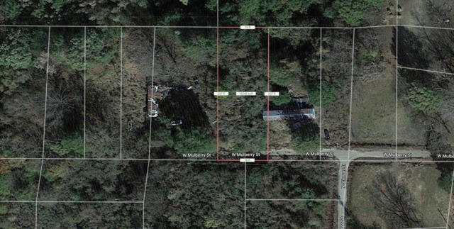 LOT 12 W MULBERRY STREET, OTHER, AR 71638, photo 3 of 6