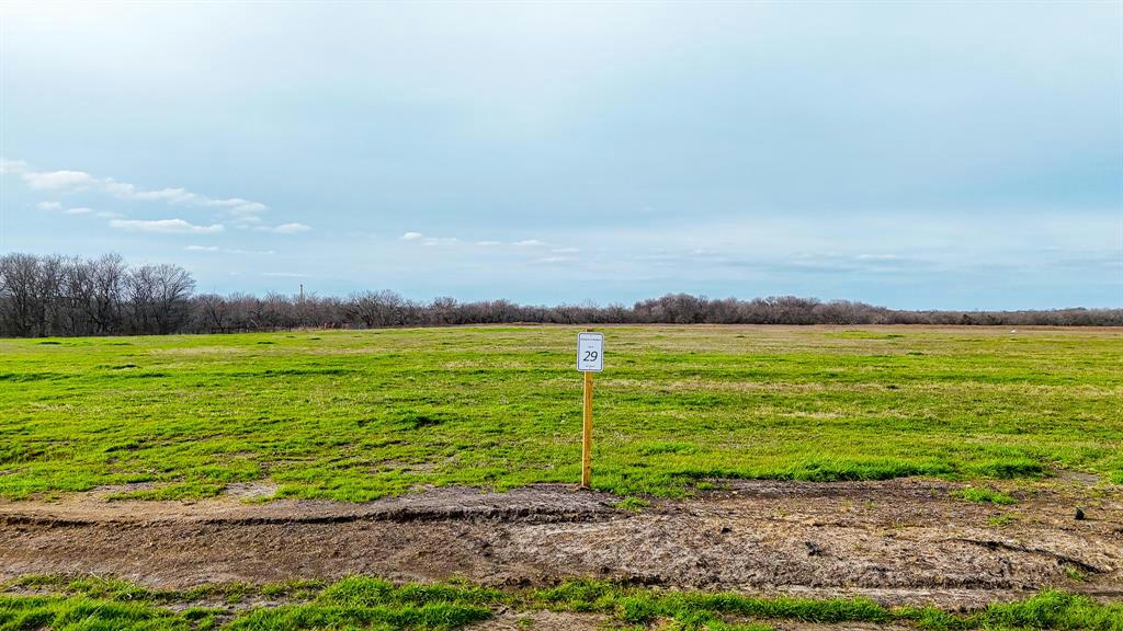 LOT 29 GRISON CIRCLE, CORSICANA, TX 75109, photo 1 of 6