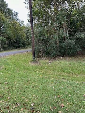 0 REEVES CEMETERY ROAD, OLD RIVER-WINFREE, TX 77523, photo 1 of 6