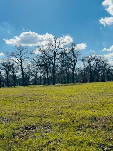 TBD COUNTY ROAD 2099, LIBERTY, TX 77575, photo 1 of 7