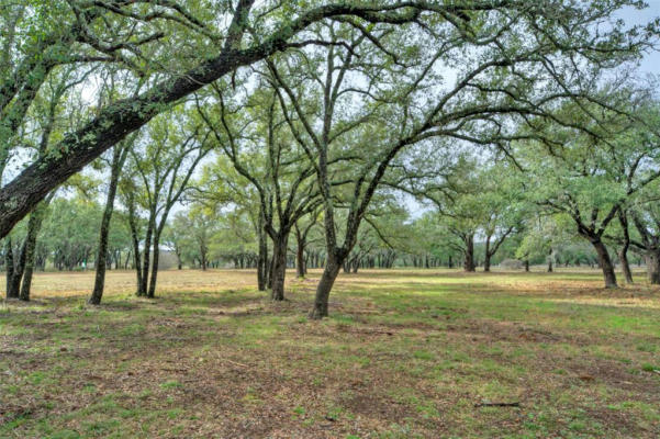 24525 PEDERNALES CLIFF TRL, SPICEWOOD, TX 78669, photo 3 of 17