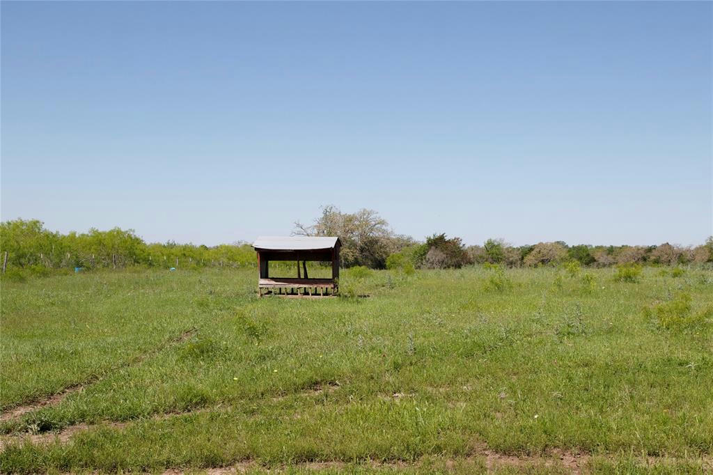 TRACT 12 ARMSTRONG DERRY ROAD, WAELDER, TX 78941, photo 1 of 6