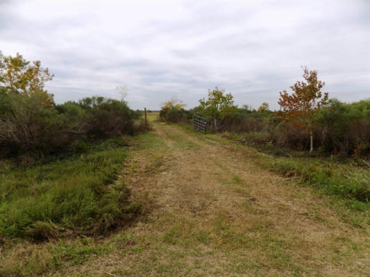 164 COUNTY ROAD 291, SARGENT, TX 77414 - Image 1
