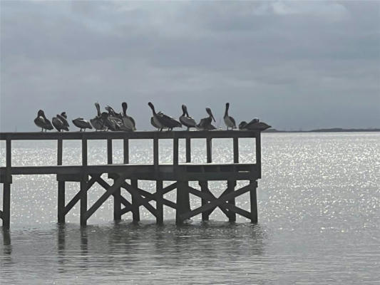 LOT 9 COUNTY ROAD 257 OFF S AMI, SURFSIDE BEACH, TX 77541, photo 5 of 5