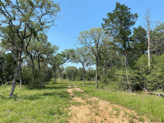 TBD HIGH CROSSING ROAD - TRACT 7, SMITHVILLE, TX 78957, photo 5 of 12