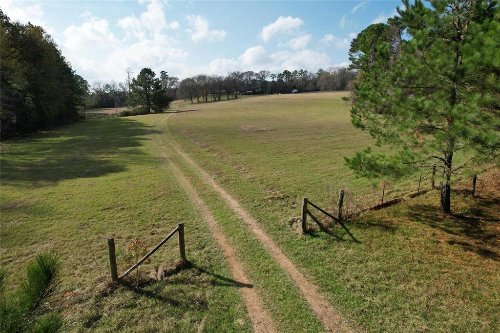 TBD COUNTY RD 1585, GRAPELAND, TX 75844, photo 1 of 21