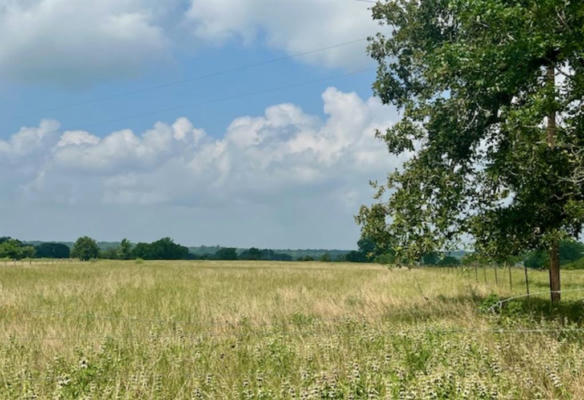 38 ACRES SHAWS BEND RD, COLUMBUS, TX 78934, photo 3 of 15