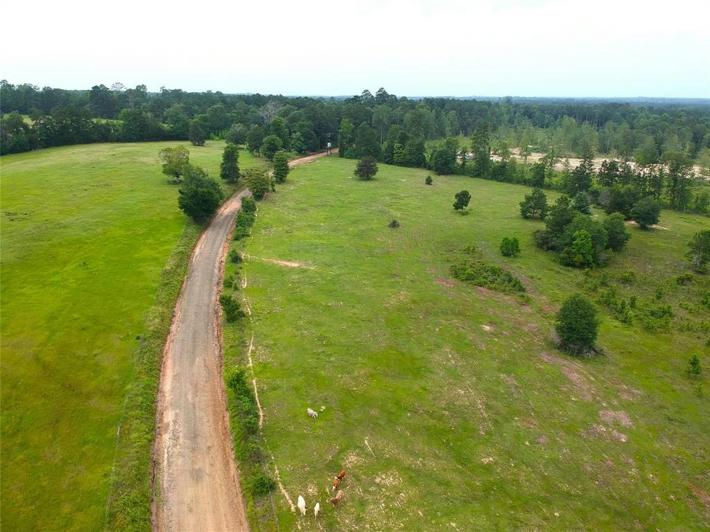 250 COUNTY ROAD 2150, WOODVILLE, TX 75979, photo 1 of 18