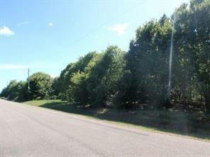 LOT 3 OR 8 DUNCAN DRIVE, OYSTER CREEK, TX 77541 - Image 1