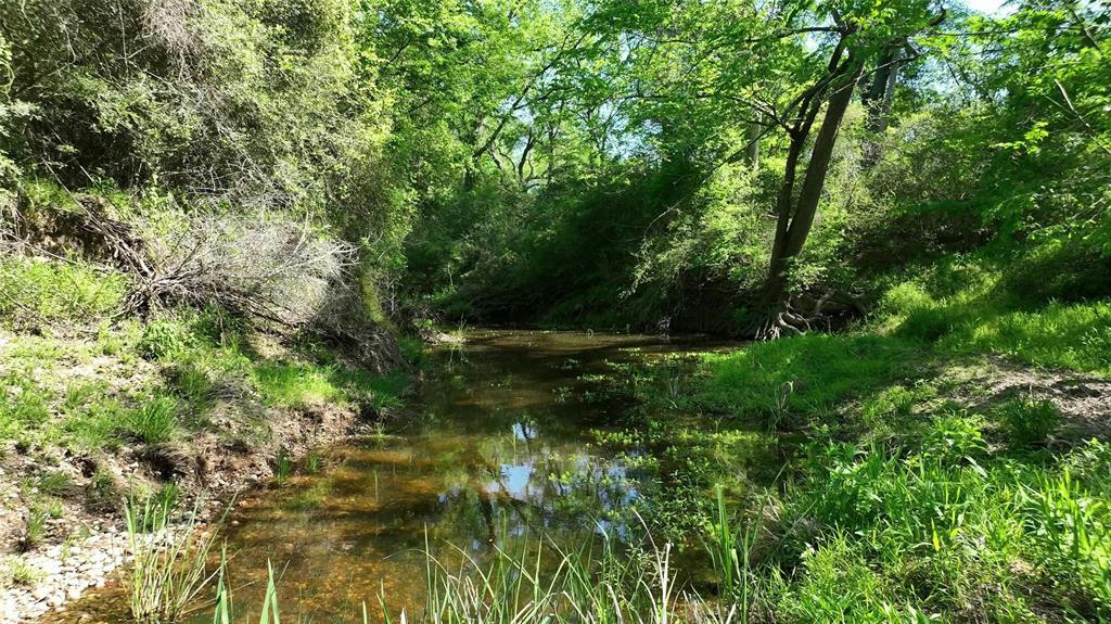 00 COUNTY ROAD 119, LEDBETTER, TX 78946, photo 1 of 38