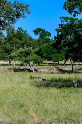 LOT 22 CREEKSIDE AT CAMP VERDE, CENTER POINT, TX 78010, photo 5 of 7