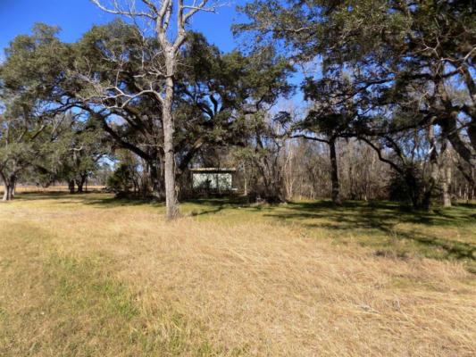 4-13 COUNTY ROAD 161 SHILO LOOP, CEDAR LANE, TX 77415, photo 4 of 6