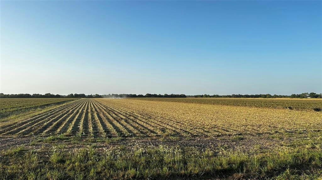 0 COUNTY RD 384, LOUISE, TX 77455, photo 1 of 10