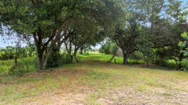 TBD NEW ULM ROAD, CAT SPRING, TX 78933 - Image 1