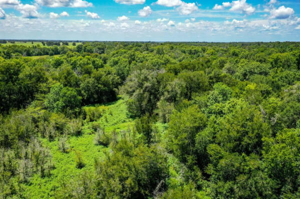 20.02 ACRES RANCHES AT LONE STAR RIDGE, LOVELADY, TX 75851, photo 3 of 20