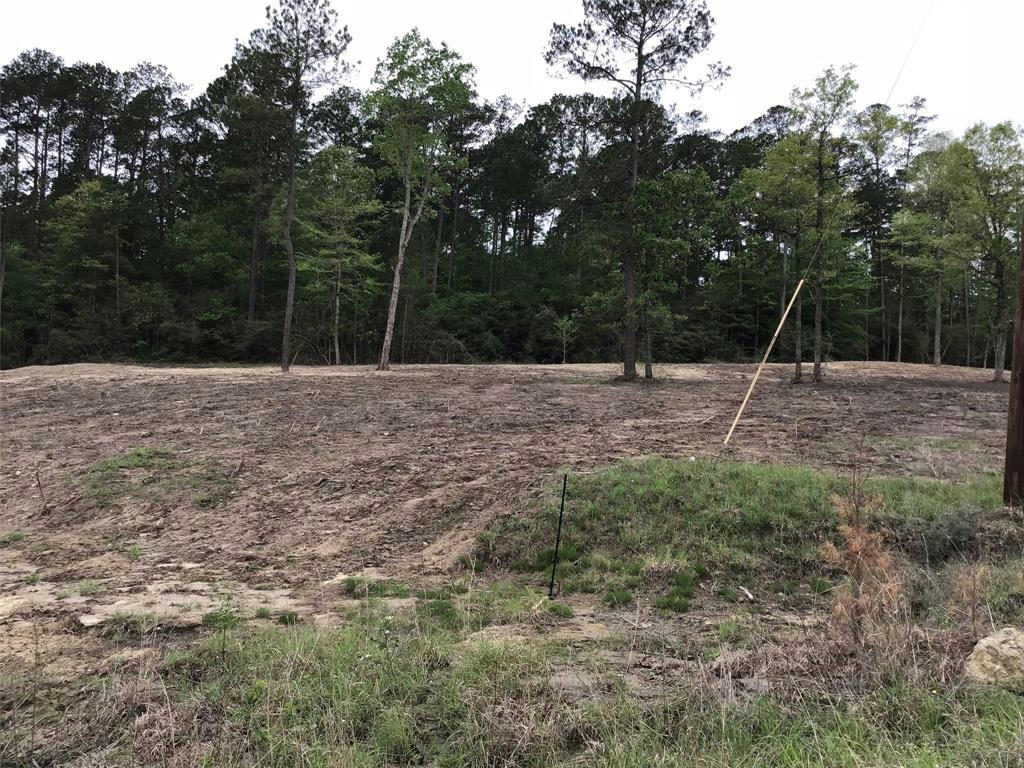 199 JENNIFER LN, BURKEVILLE, TX 75932, photo 1 of 4