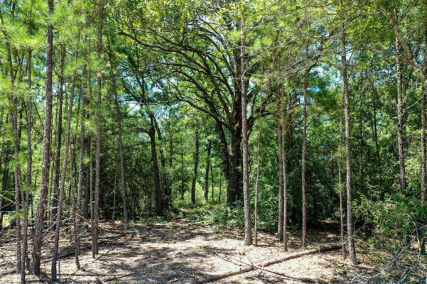 20.02 ACRES RANCHES AT LONE STAR RIDGE, LOVELADY, TX 75851, photo 2 of 20