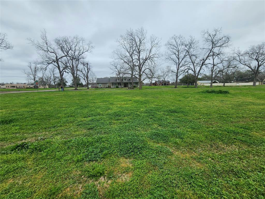 TBD BOLING DOME DRIVE, BOLING, TX 77420, photo 1 of 7