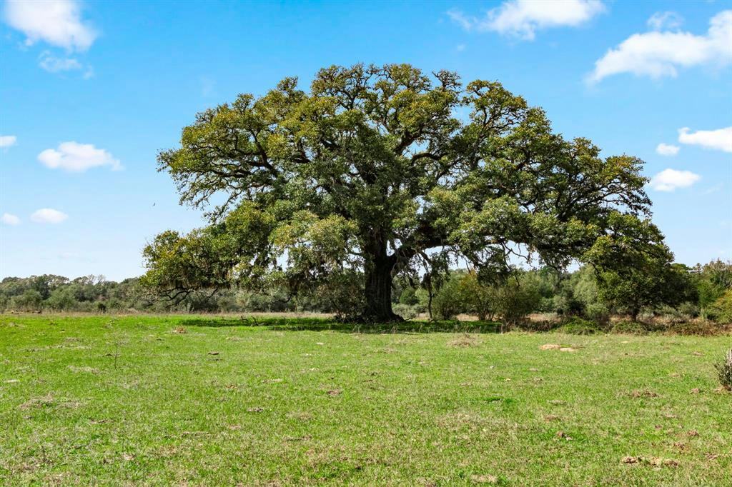 000 FRELSBURG ROAD, ALLEYTON, TX 78935, photo 1 of 19