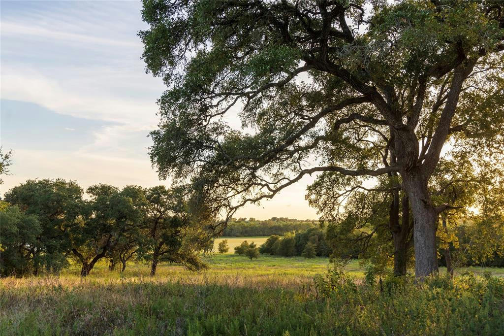 9365 BAUER RD, FAYETTEVILLE, TX 78940, photo 1 of 14