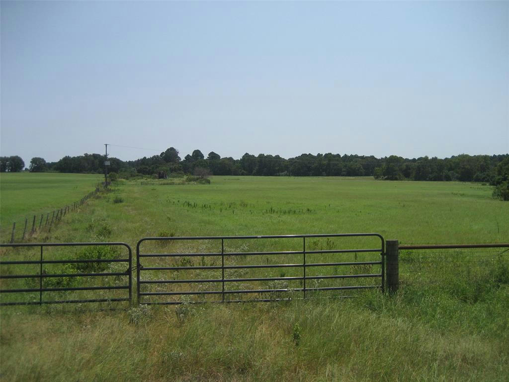 00 TX-294 EAST, ELKHART, TX 75839, photo 1 of 14