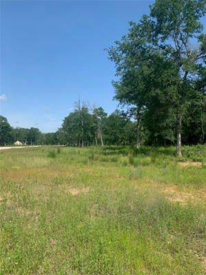 LOT 19 COUNTY RD 389, JEWETT, TX 75846 - Image 1