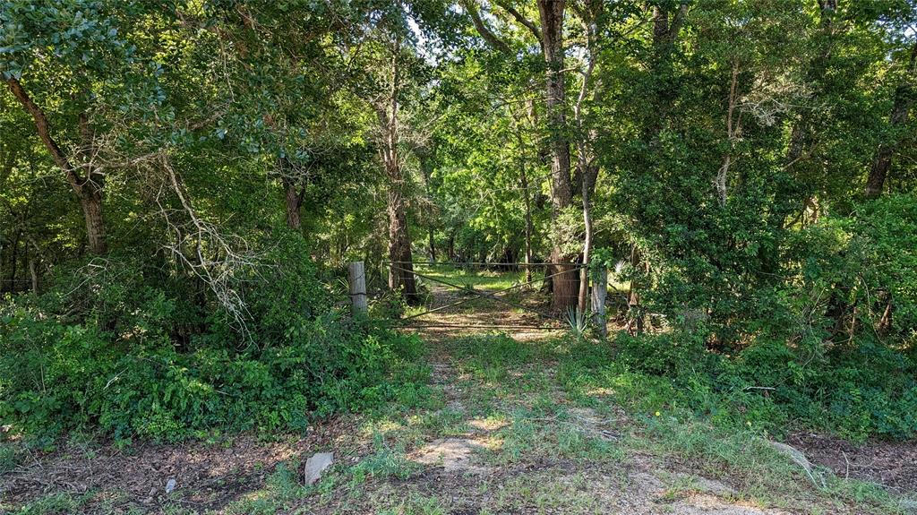 0000 SAWMILL ROAD, NEEDVILLE, TX 77461, photo 1 of 6