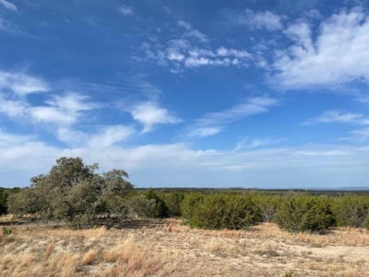 2078 RANCH ROAD 962 W LOT 2, ROUND MOUNTAIN, TX 78663, photo 5 of 9