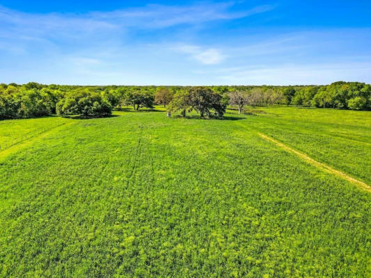 TBD COUNTY ROAD 223, WEIMAR, TX 78962, photo 3 of 20