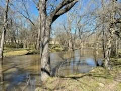 9015 LEANING OAKS LN, ANDERSON, TX 77830, photo 5 of 42