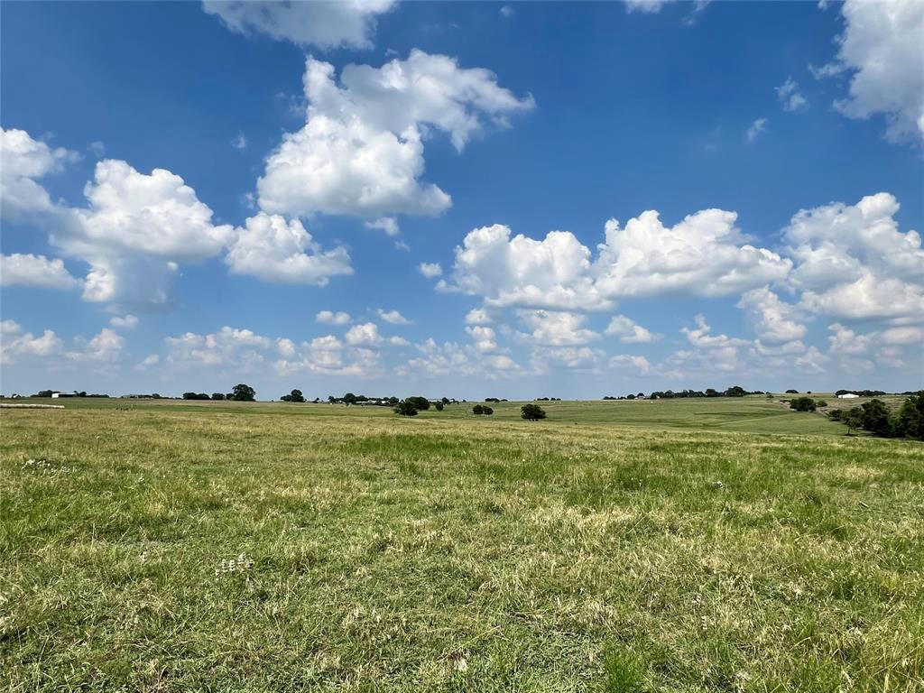 tBD FM-50, BRENHAM, TX 77833 Farm For Sale | MLS# 73226017 | RE/MAX