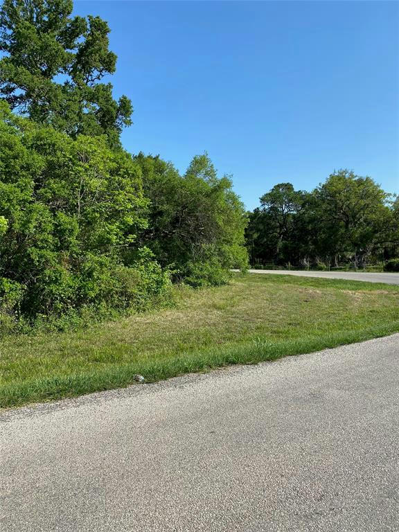 0 COUNTY ROAD 281 RAMBLEWOOD ROAD, SARGENT, TX 77414, photo 1 of 8