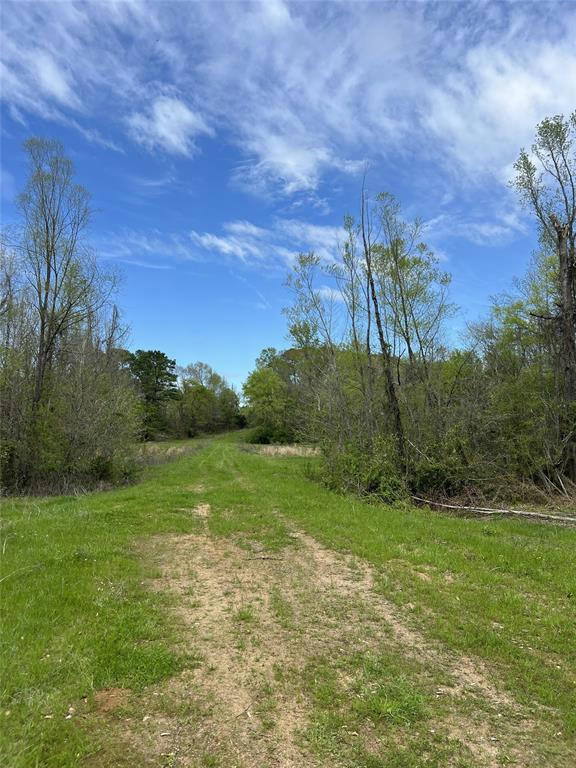 TBD COUNTY ROAD 480D, HENDERSON, TX 75681, photo 1 of 24