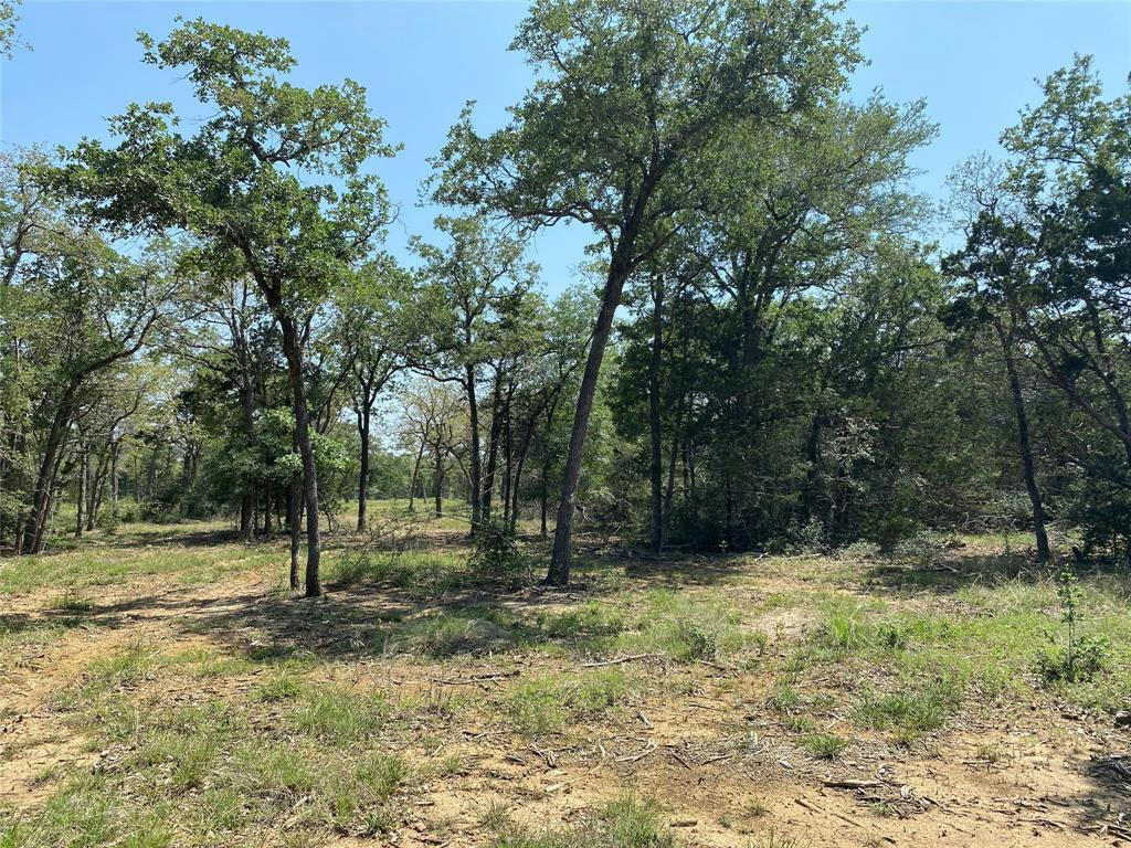 TBD HIGH CROSSING ROAD - TRACT 7, SMITHVILLE, TX 78957, photo 1 of 12