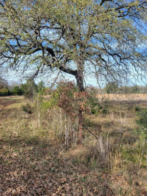 #2 NAVARRO LANE, GRAPELAND, TX 75855, photo 2 of 6