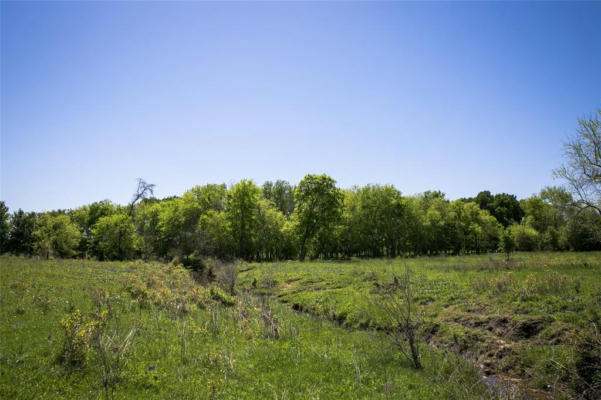 TRACT 3 CANEY CREEK ROAD, CHAPPELL HILL, TX 77426, photo 4 of 15
