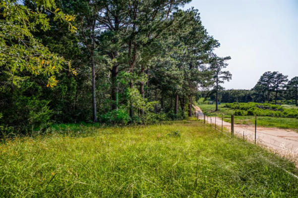 TBD (15.682 ACRES) STOCKADE RANCH ROAD, PAIGE, TX 78659, photo 4 of 37