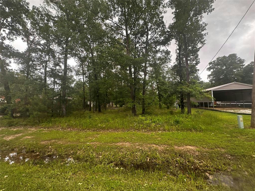 303 MARTINEQUE LN, LIVINGSTON, TX 77364, photo 1