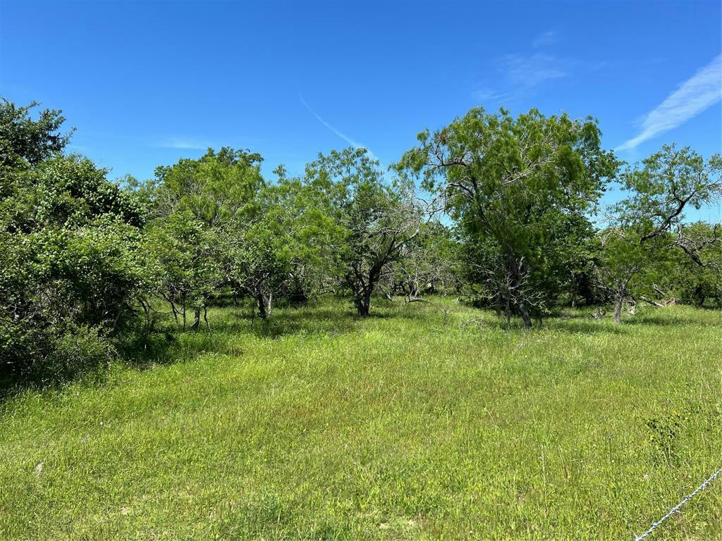 TRACT 6 CR 482, GONZALES, TX 78629, photo 1 of 18