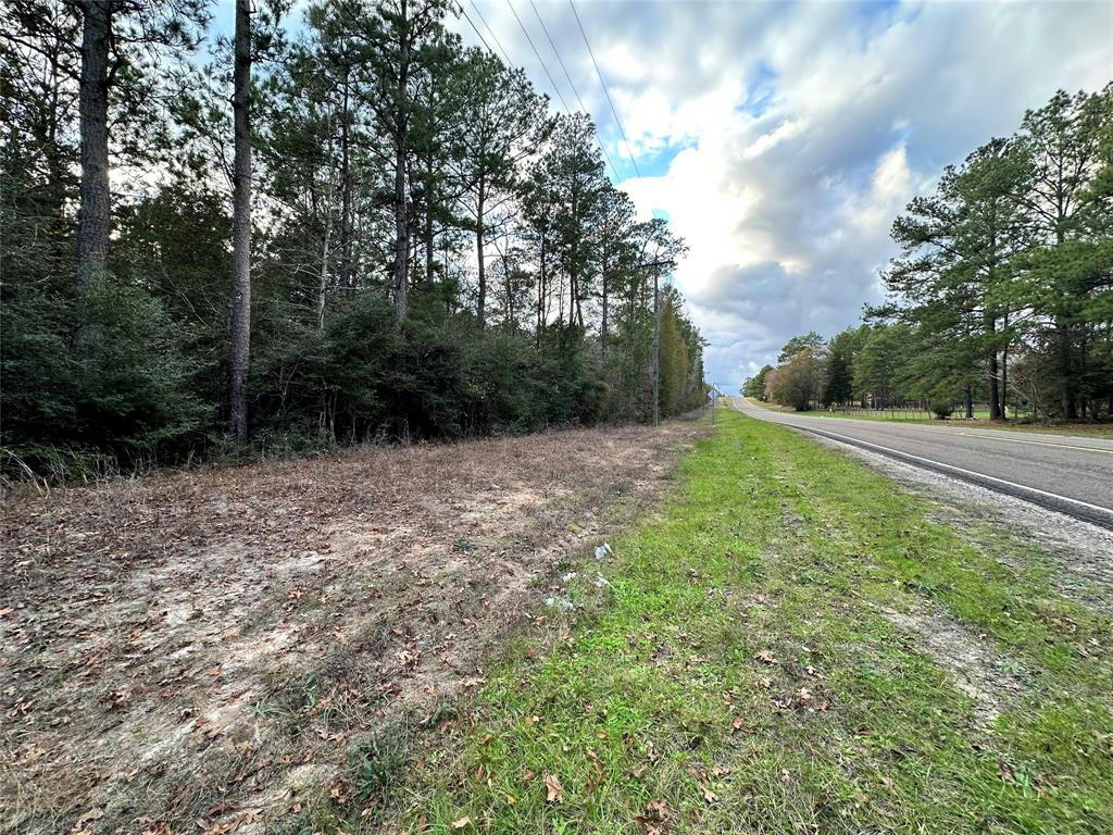 TBD FM 256, COLMESNEIL, TX 75938, photo 1 of 12