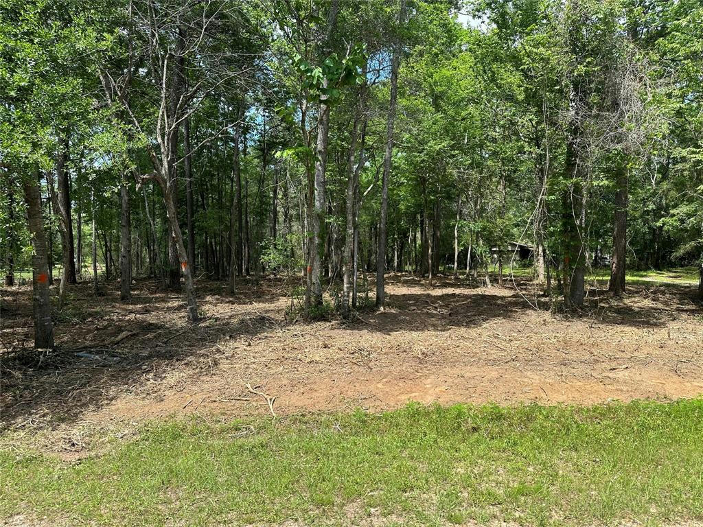TBD E FORK DRIVE, COLDSPRING, TX 77331, photo 1 of 7