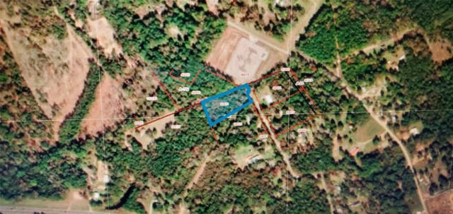 LOT 1 FOREST DRIVE, POINT BLANK, TX 77364 - Image 1