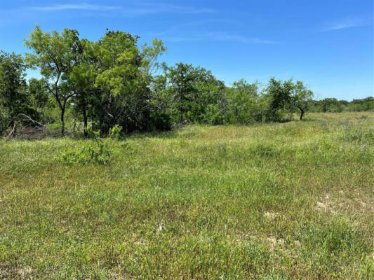 TRACT 6 CR 482, GONZALES, TX 78629, photo 2 of 18