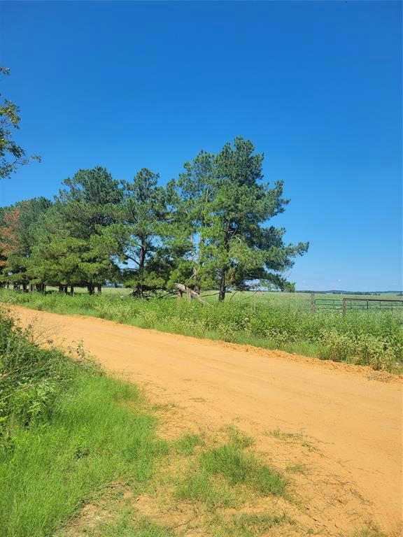 #2 NAVARRO LANE, GRAPELAND, TX 75855, photo 1 of 6