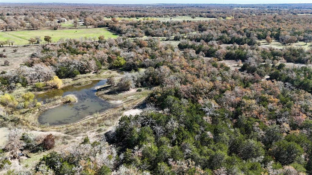 TBD HERMAN LANE, FLATONIA, TX 78941, photo 1 of 33