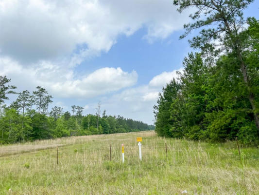 00000 CRAVENS CAMP ROAD, SILSBEE, TX 77656, photo 4 of 9